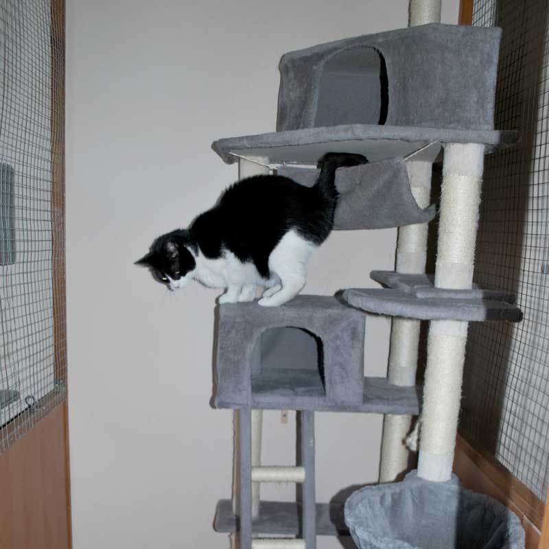 placeholder image-sq