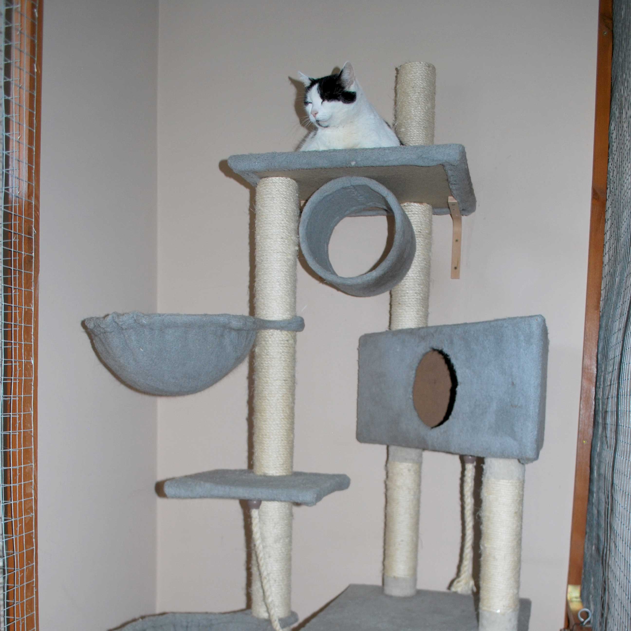 placeholder image-sq